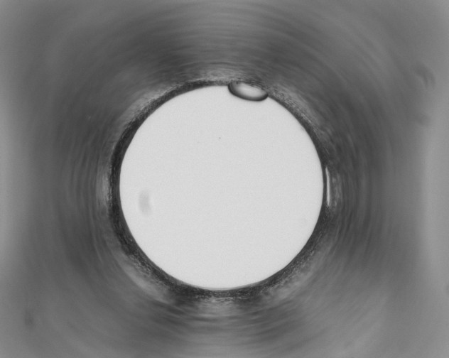 X0000111450252200908241212