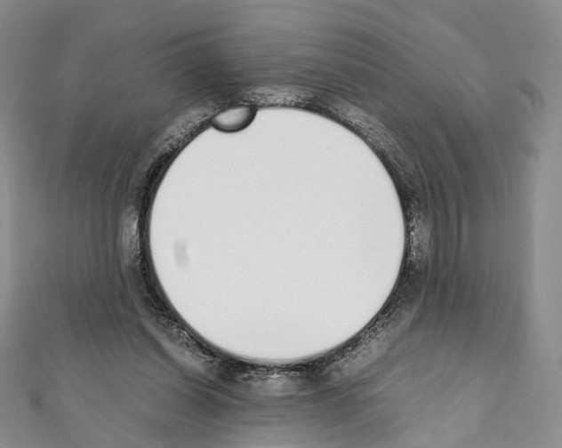 X0000111450254200908241212