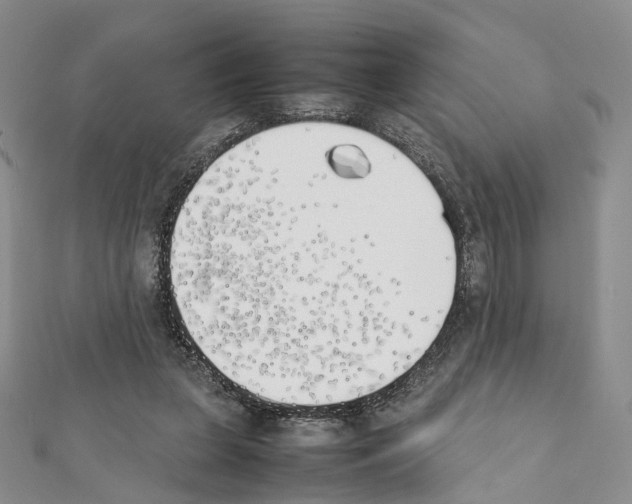 X0000111450255200908241212