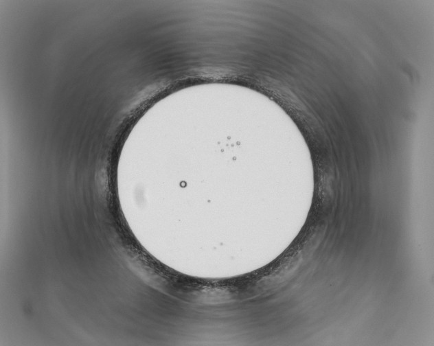 X0000111450256200908241212