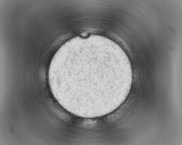 X0000111450257200908241212