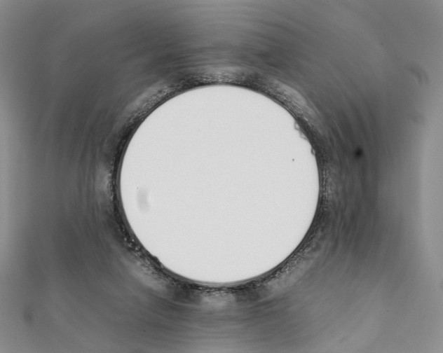 X0000111450258200908241212