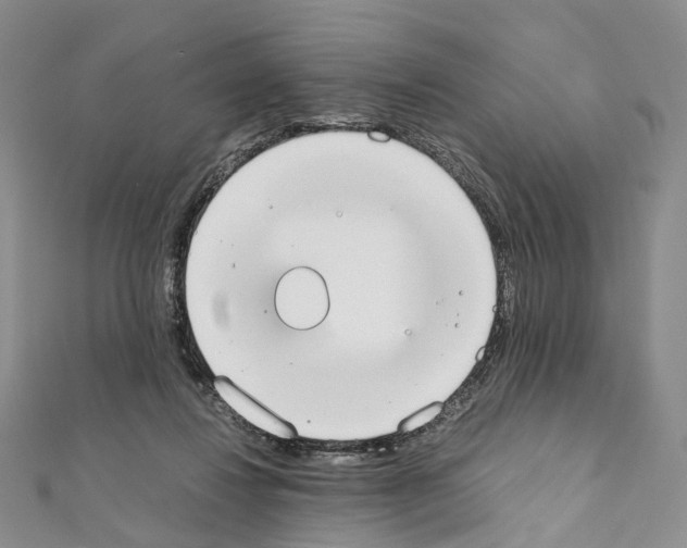 X0000111450260200908241212