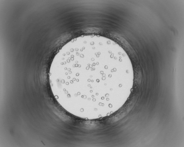 X0000111450261200908241212