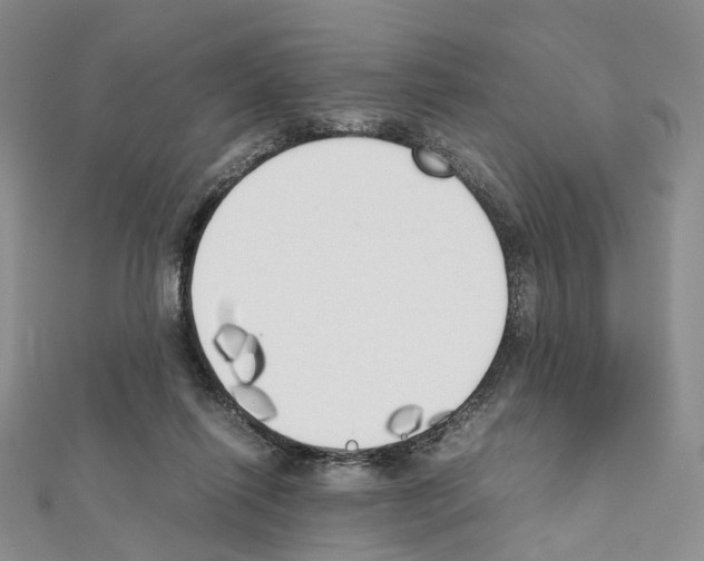 X0000111450262200908241212