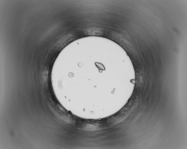 X0000111450263200908241212