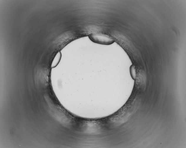 X0000111450264200908241212