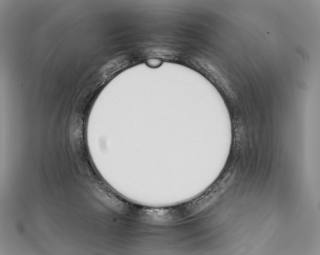 X0000111450265200908241212