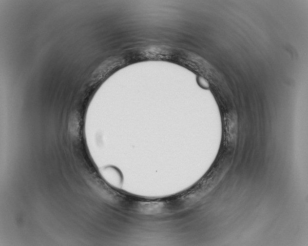 X0000111450266200908241212