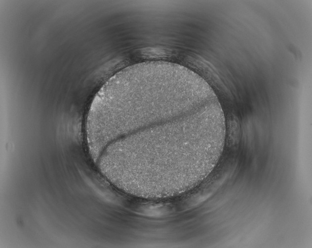 X0000111450267200908241212
