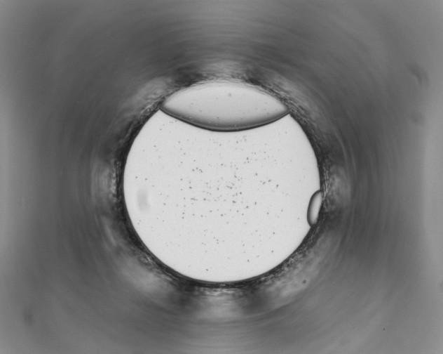 X0000111450268200908241212