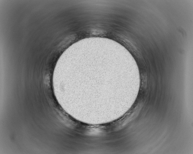 X0000111450269200908241212