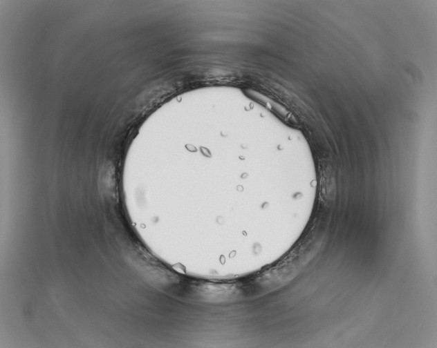 X0000111450270200908241212