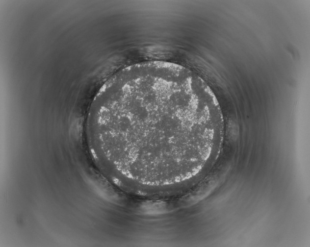 X0000111450271200908241212