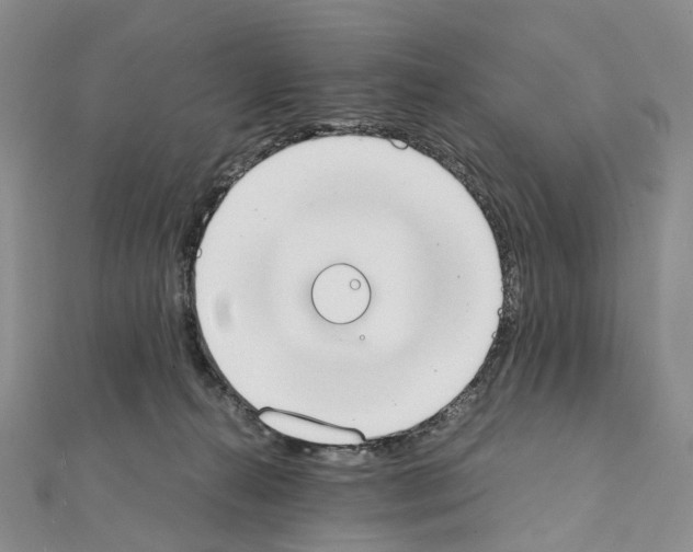 X0000111450272200908241212