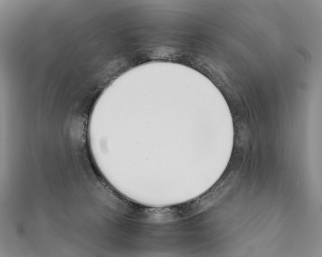 X0000111450273200908241212