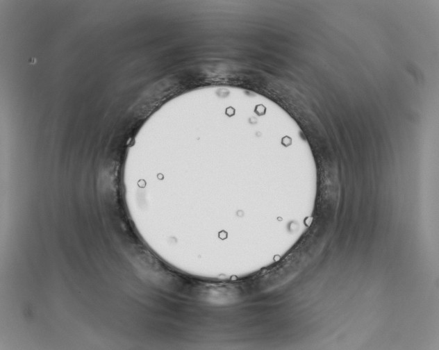 X0000111450275200908241212