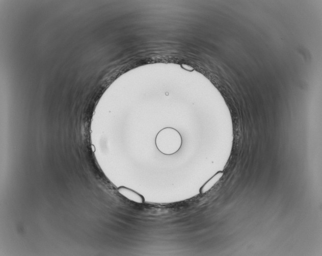 X0000111450276200908241212