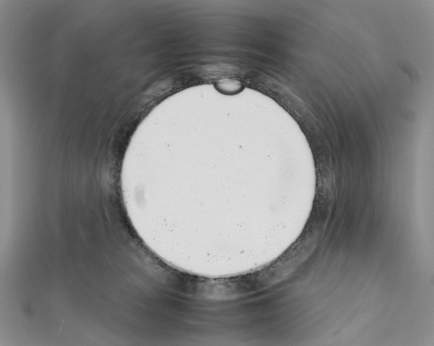 X0000111450277200908241212