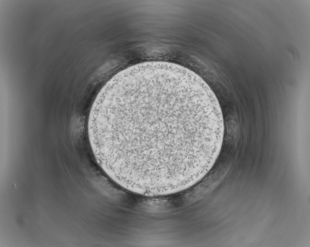 X0000111450278200908241212