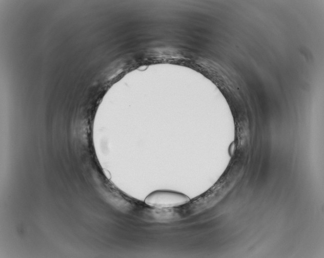 X0000111450279200908241212
