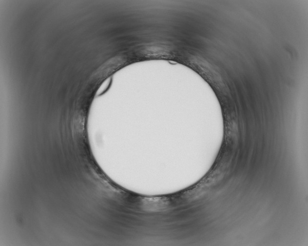 X0000111450281200908241212
