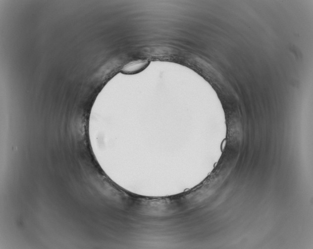 X0000111450282200908241212