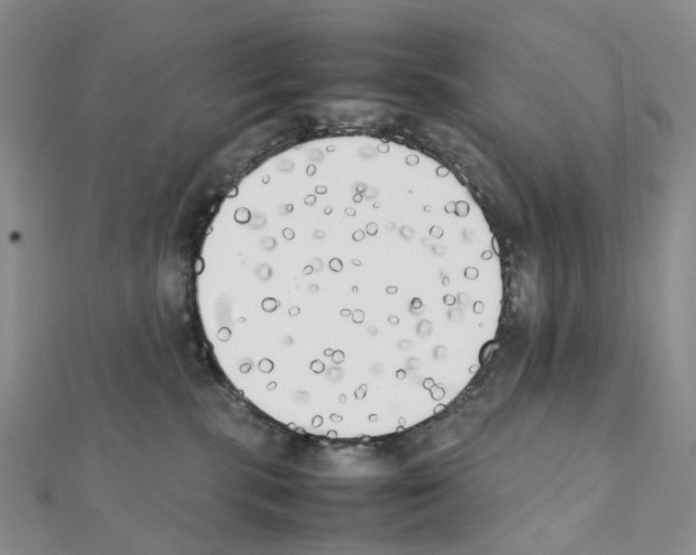 X0000111450283200908241212