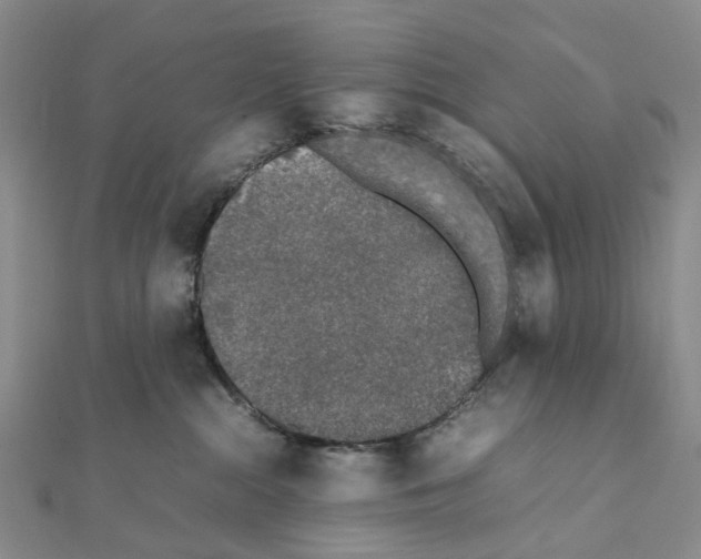 X0000111450284200908241212