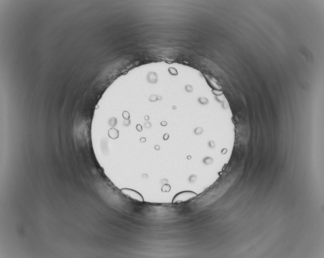X0000111450286200908241212