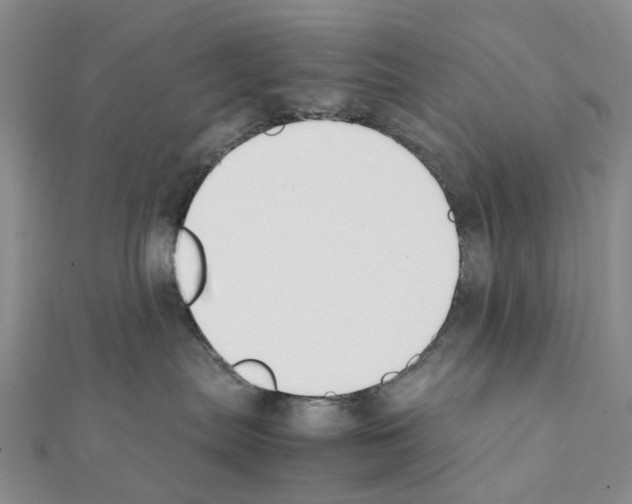 X0000111450287200908241212
