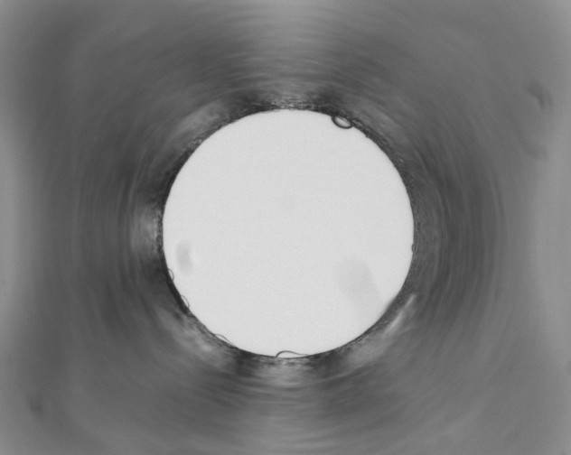 X0000111450288200908241212