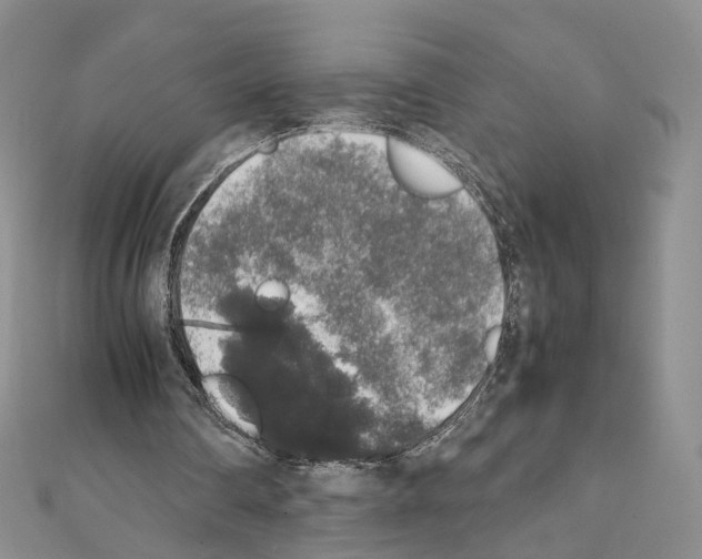 X0000111450290200908241212