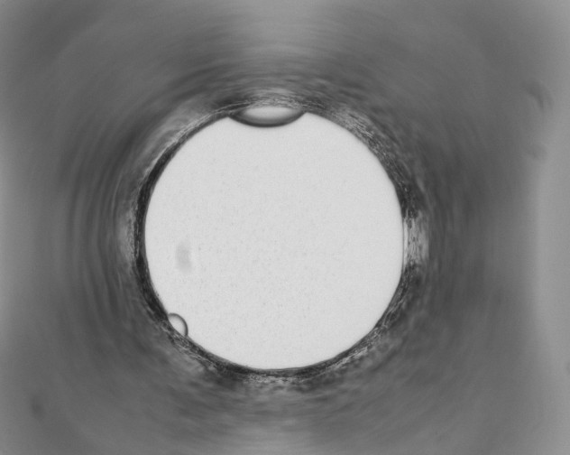 X0000111450291200908241212