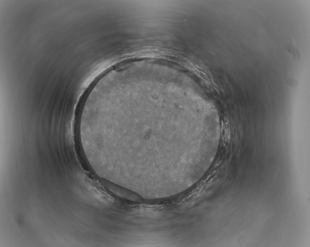 X0000111450292200908241212
