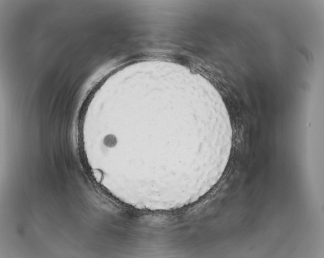 X0000111450294200908241212