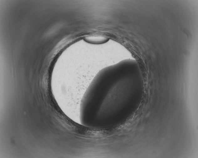 X0000111450295200908241212