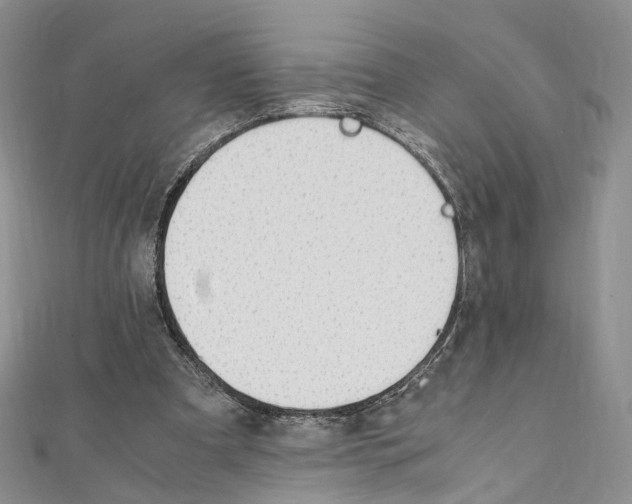 X0000111450297200908241212