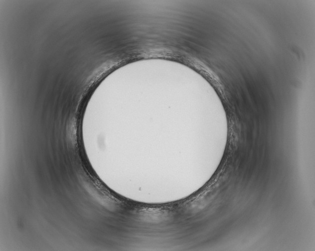 X0000111450298200908241212