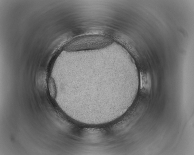 X0000111450300200908241212