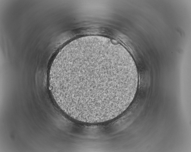 X0000111450301200908241212