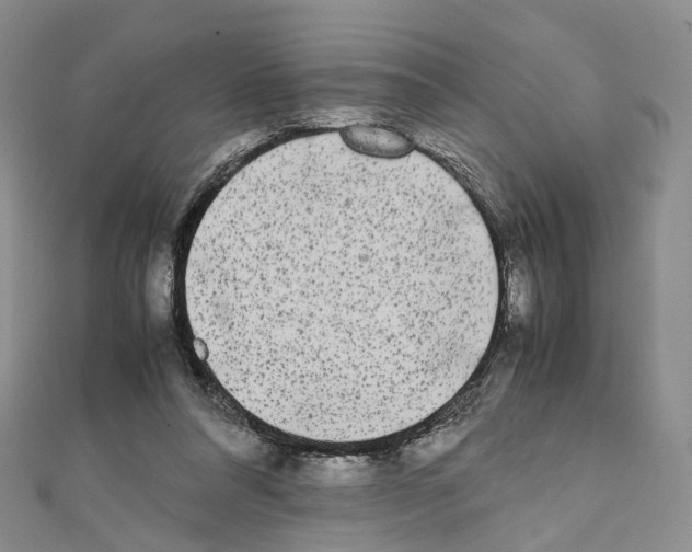 X0000111450304200908241212