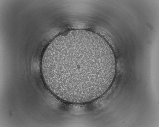 X0000111450305200908241212