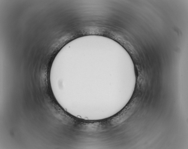 X0000111450306200908241212