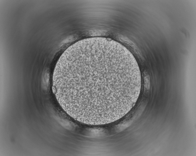 X0000111450308200908241212