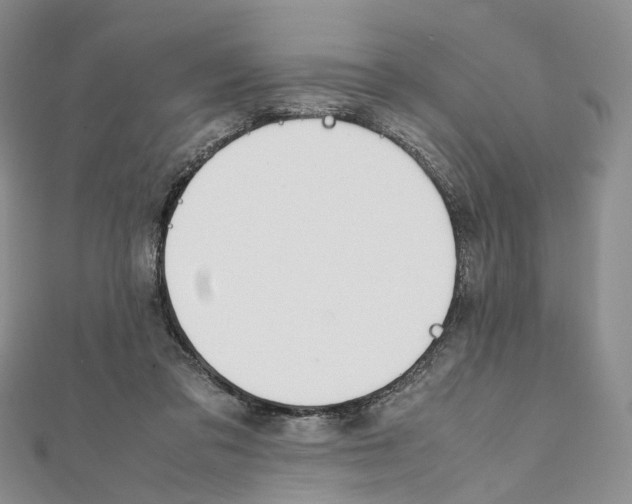 X0000111450309200908241212
