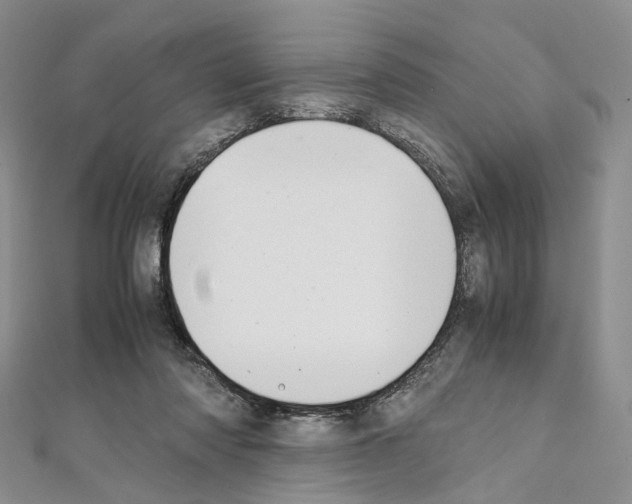 X0000111450310200908241212