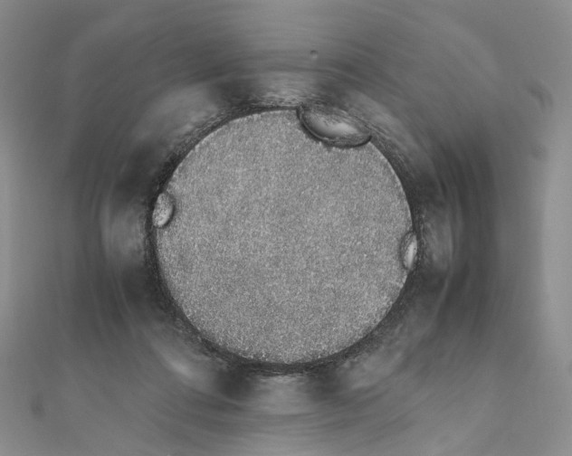 X0000111450312200908241212