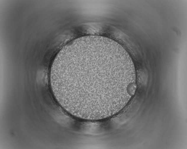 X0000111450313200908241212