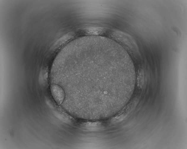 X0000111450314200908241212